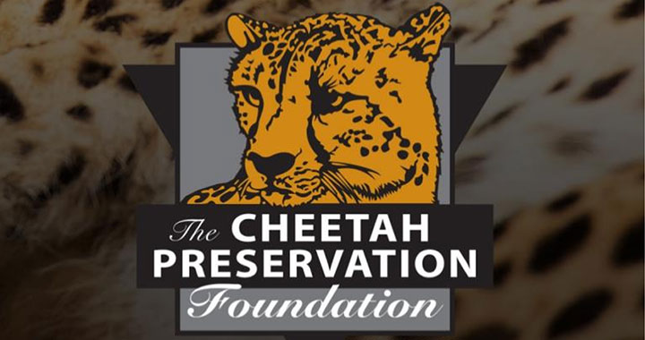 Cheetah Preservation